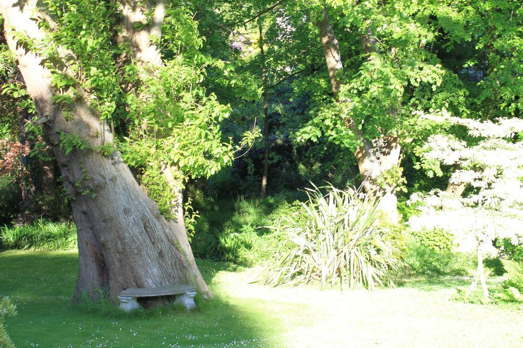 The Woodlands Hotel Ilfracombe Buitenkant foto
